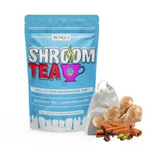 Black Chai Shroom Tea - 1 GRAM