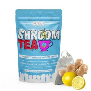 Ginger Lemon Shroom Tea - 1 GRAM