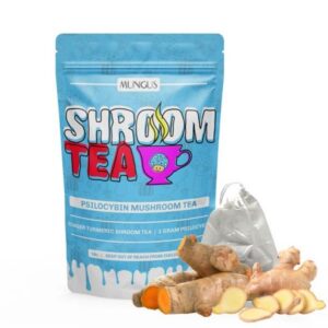 Ginger Turmeric Shroom Tea - 1 GRAM