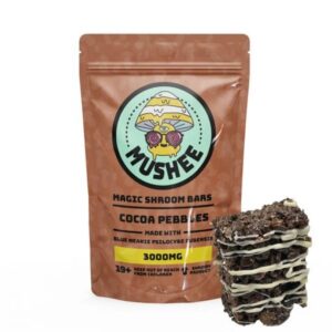 Magic Mushroom Cocoa Pebbles Cereal Bar- 3000MG – Mushee