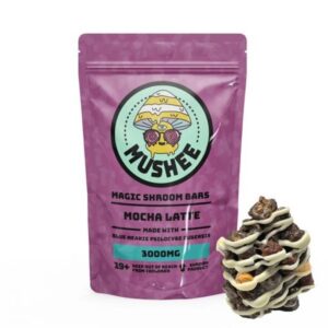 Magic Mushroom Mocha Latte Cereal Bar- 3000MG – Mushee