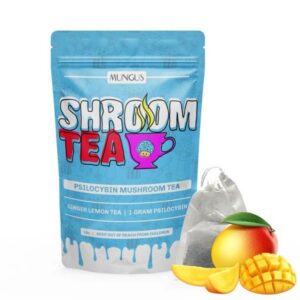 Mango Shroom Tea - 1 GRAM