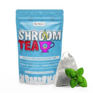 Moroccan Mint Shroom Tea - 1 GRAM