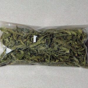 BUY SALVIA IN USA,CANADA & EUROPE ONLINE