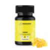 Buy Mastermind Psilo Magic Mushroom Gummy Bear Microdose – 3000MG – Lemon In USA,UK & Canada Online